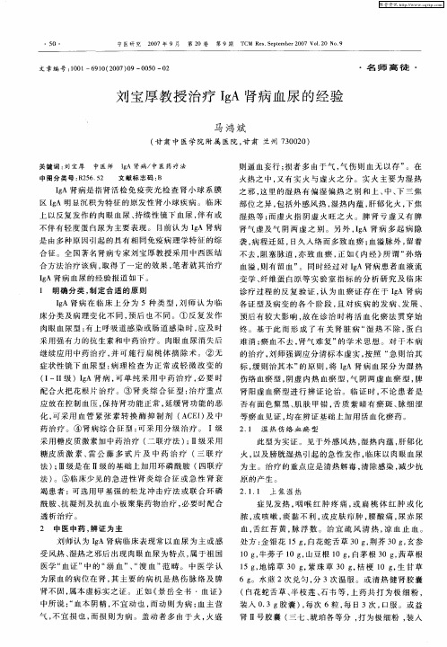 刘宝厚教授治疗IgA肾病血尿的经验