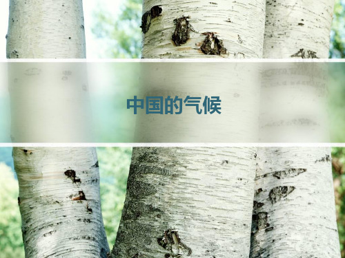 高考区域地理中国的气候(共52张PPT)