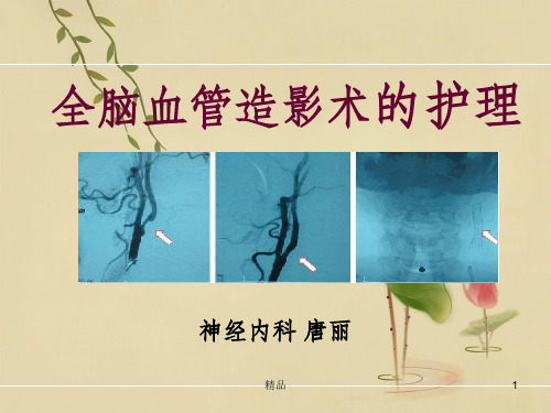 《DSA的护理》PPT课件