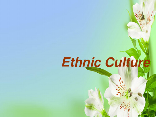 外研版高中英语选修七Module5Ethnic Culture课件ppt