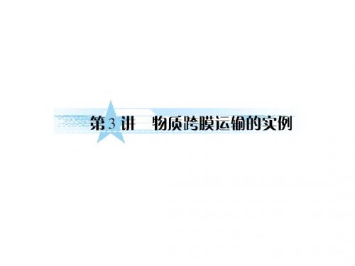 高三生物一轮复习同步课件人教版：必修一2-3物质跨膜运输运输的实例