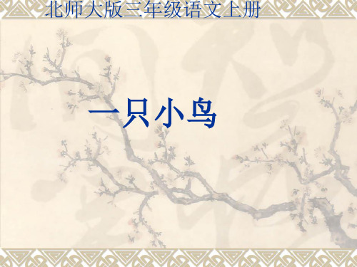 语文三年级上北师大版《一只小鸟》课件(10张)