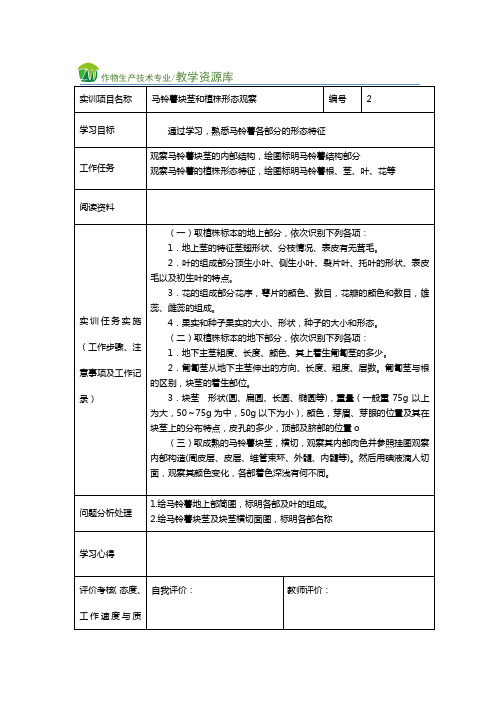 马铃薯块茎和植株形态观察实训任务单.