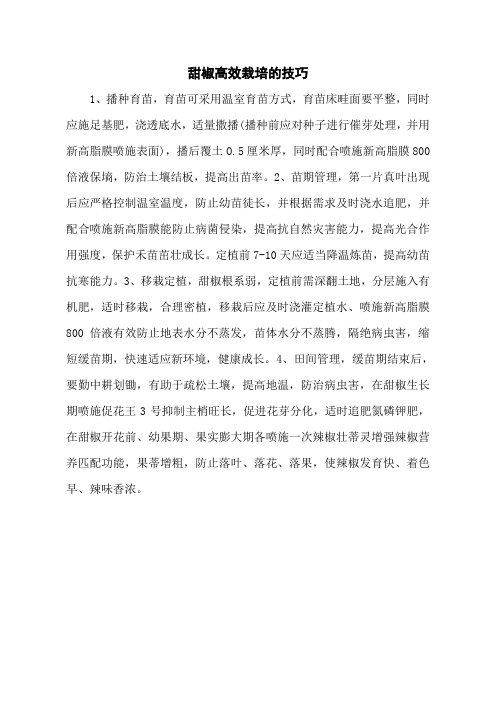 甜椒高效栽培的技巧