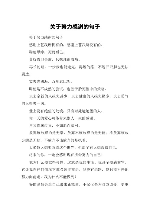 关于努力感谢的句子