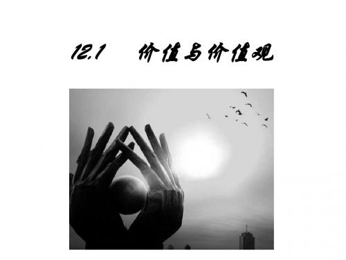 12.1价值与价值观
