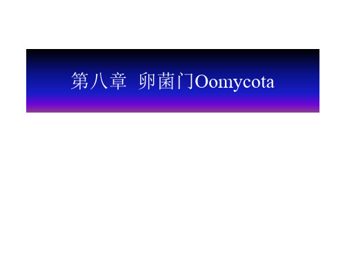第8章-卵菌门讲解