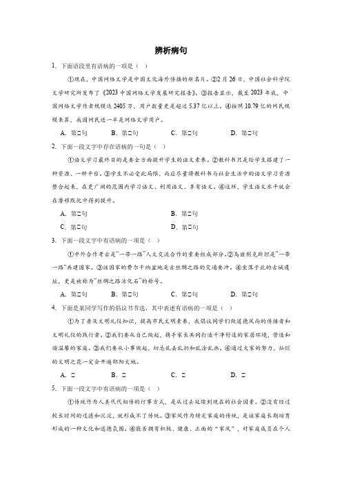 辨析病句专项练-2024-2025学年统编版语文九年级上册