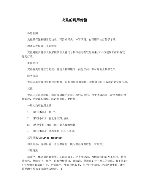 龙虱的药用价值