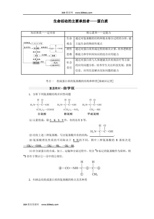 高考生物一轮复习第一单元第三讲生命活动的主要承担者——蛋白质讲义(含解析)