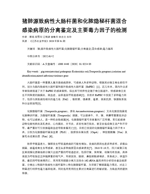 猪肺源致病性大肠杆菌和化脓隐秘杆菌混合感染病原的分离鉴定及主