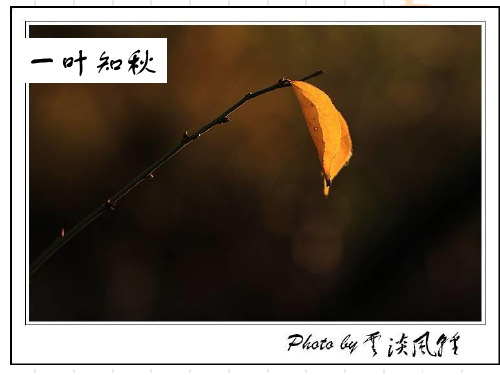 一叶知秋  以小细节见大ppt