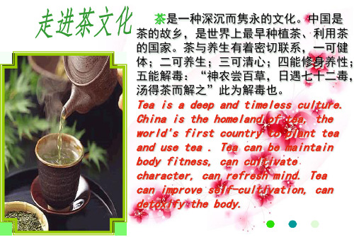茶系列英文版