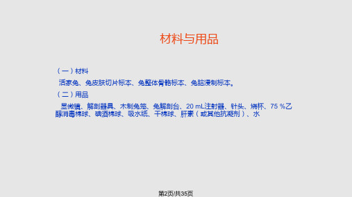 兔的解剖实用