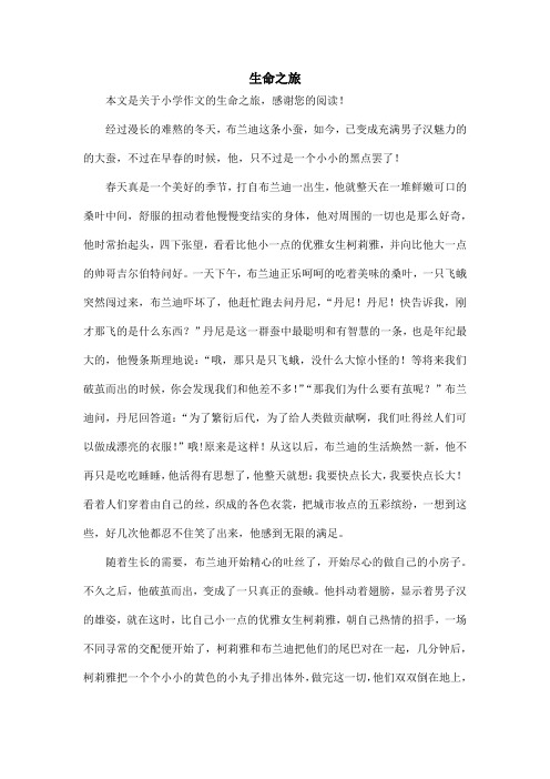 生命之旅_小学作文