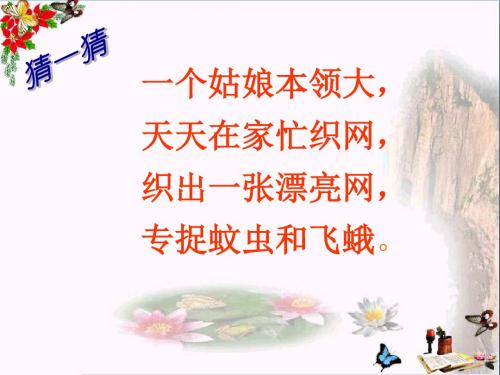 一年级语文下册第13课蜘蛛织网 PPT精品课件西师大版