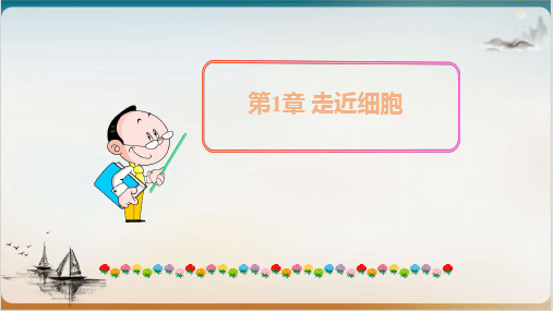 人教版高一生物必修一从生物圈到细胞公开课-PPT