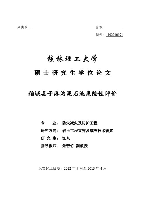 稻城县子洛沟泥石流危险性评价