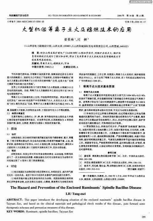 大型机组等离子点火及稳燃技术的应用