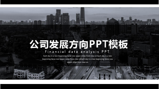 公司发展方向报告工作总结汇报计划课件