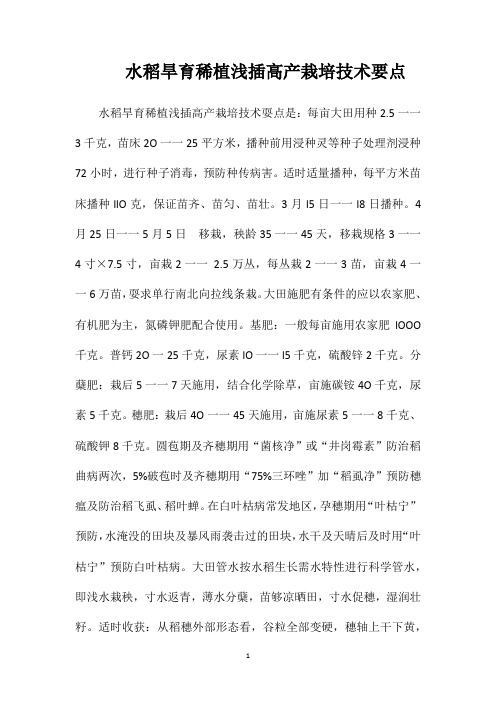水稻旱育稀植浅插高产栽培技术要点