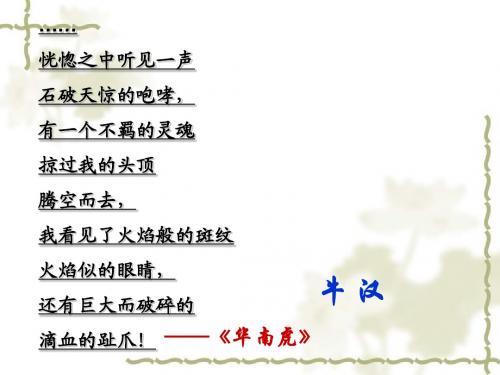 【最新】人教版八年级语文下册第一单元3《我的第一本书》(共13张PPT)