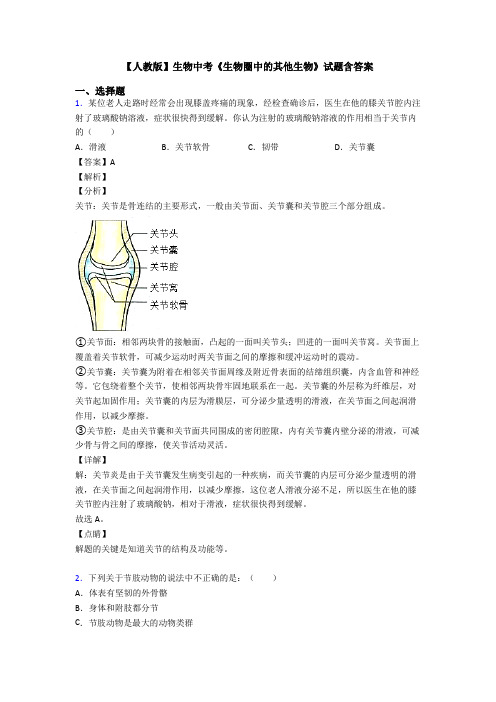 【人教版】生物中考《生物圈中的其他生物》试题含答案
