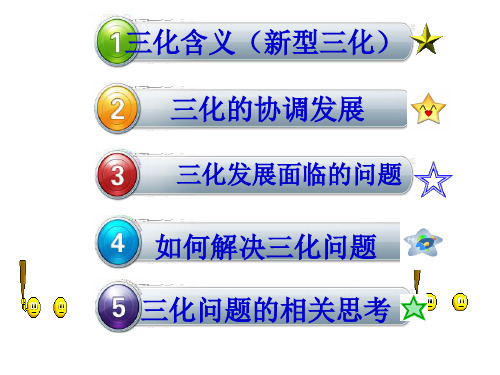 三化问题探究