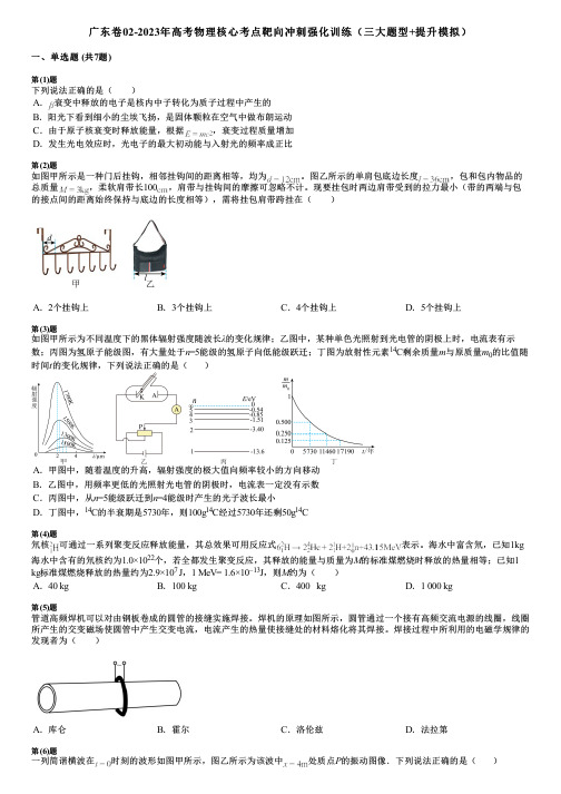 广东卷02-2023年高考物理核心考点靶向冲刺强化训练(三大题型+提升模拟)