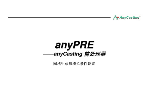 anycasting前处理anyPRE资料讲解