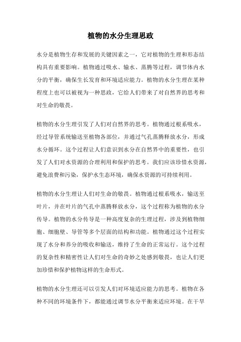 植物的水分生理思政