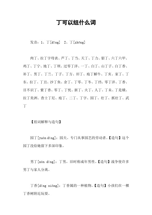 丁可以组什么词