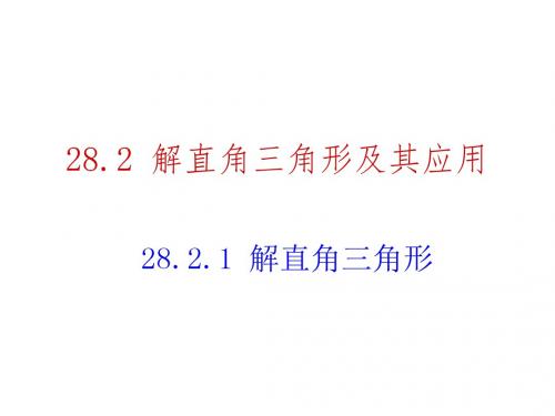 解直角三角形及应用 (4)