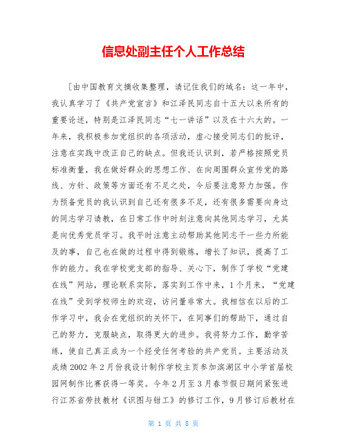 信息处副主任个人工作总结