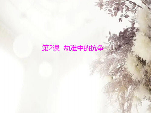 劫难中的抗争PPT教学课件