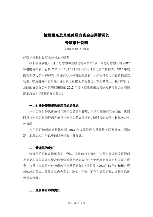 好想你：控股股东及其他关联方资金占用情况的专项审计说明