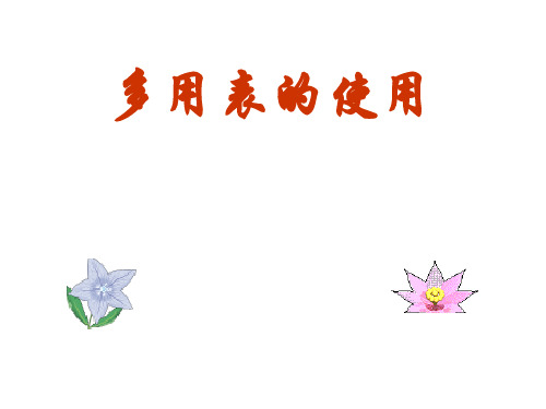 高考物理多用表的使用精选课件