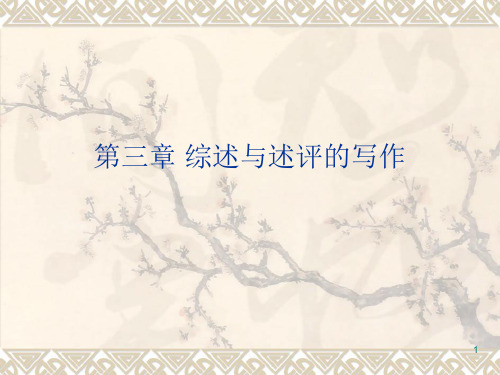 综述与述评ppt课件