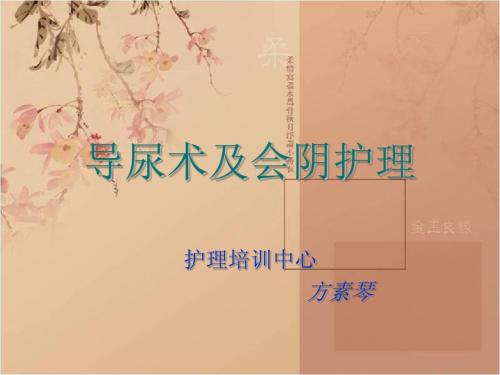 导尿术