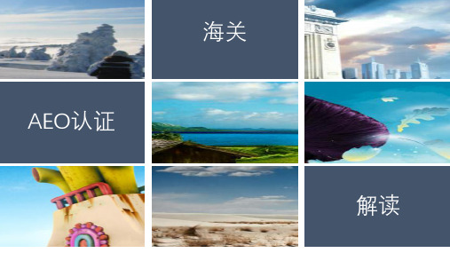 海关AEO认证解读