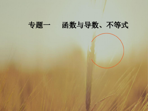 2018高考新课标数学文二轮专题复习课件：专题一第3讲导数与函数的单调性、极值与最值 精品