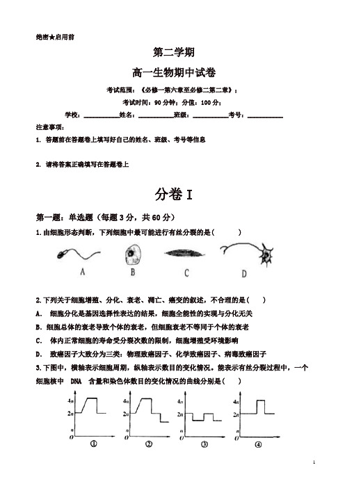 广东省惠州市惠阳高一下学期期中考试生物试题(有答案)