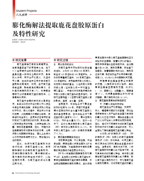 膨化酶解法提取鹿花盘胶原蛋白及特性研究