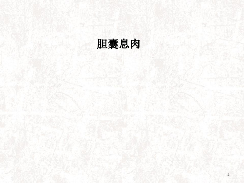 胆囊息肉PPT课件