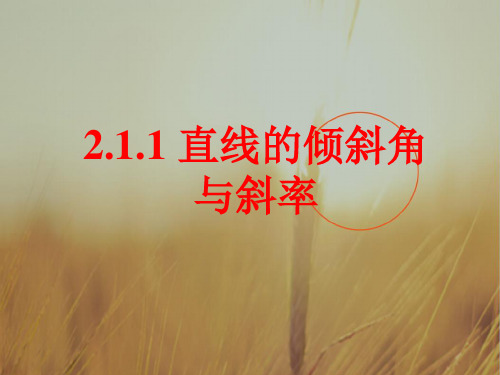 北师大版高中数学必修2课件：2-1-1直线的倾斜角和斜率 共17张 精品