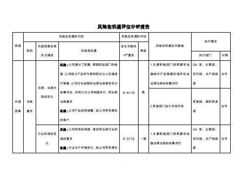 风险和机遇评估分析报告