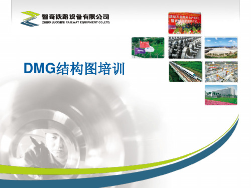DMG结构