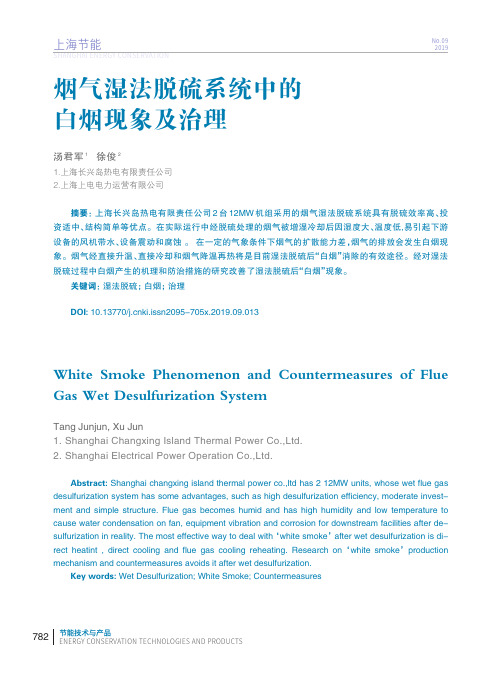 烟气湿法脱硫系统中的白烟现象及治理