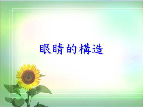 眼睛的构造(2).ppt