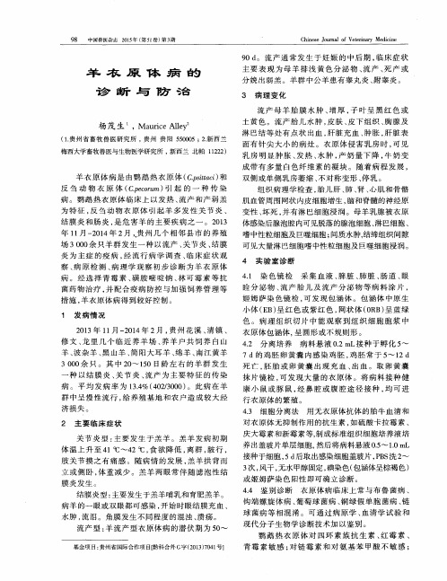 羊衣原体病的诊断与防治